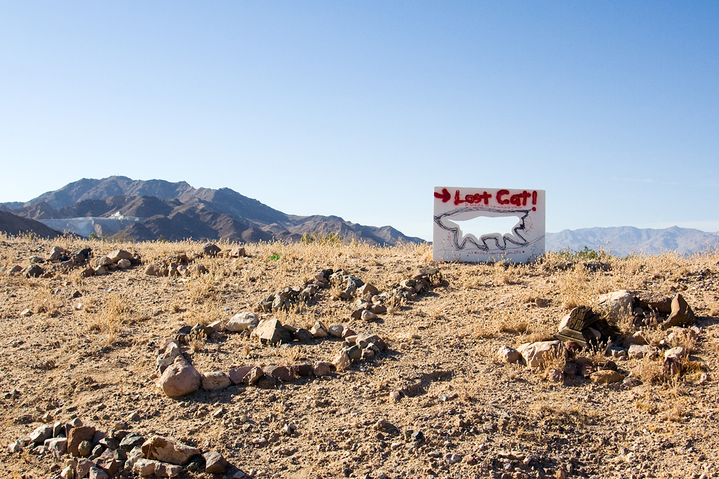 Lost cat sign on route 66 amboy