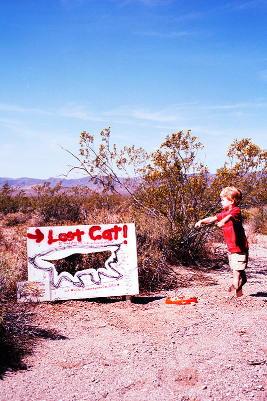 lost cat sign and toddler drawing attention to sign