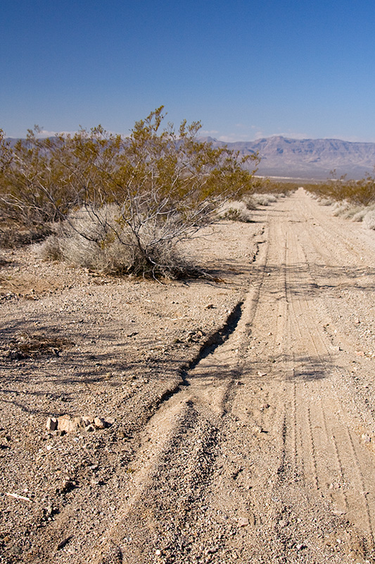 empty road where Blackjack once stood